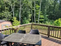 Blueberry Dune, south Holland close to Saugatuck