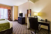 Comfort Suites Westchase Houston Energy Corridor