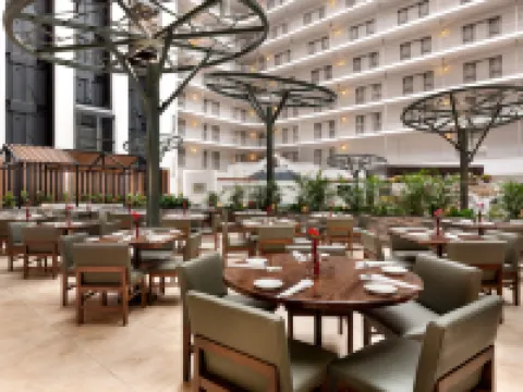 Embassy Suites by Hilton Dallas DFW Airport South Hotels in Irving