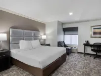 Best Western Webster Hotel, NASA Hotels in Webster
