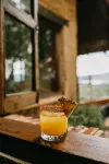 Tapalpa Country Club Hotel - bar