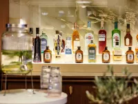 巴黎福堡格朗翰悅閣酒店 - 酒吧