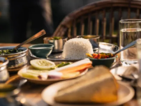 Bardia Forest Resort Hotels in Bardia