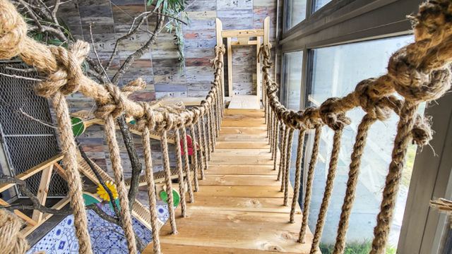 영덕 퍼플캣 펜션 대표 이미지