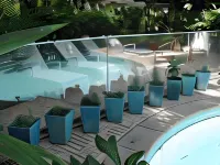 Le Windsor, Jungle Art Hotel