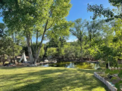 Green Acres Luxury Estate on 4 Acres 8m to Plaza!