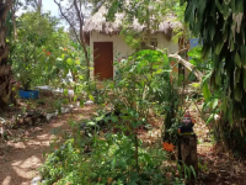 Mayan Bungalow Near Chichén Hotels in Tinum