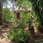 Mayan Bungalow Near Chichén