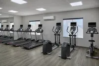 Holiday Inn Express & Suites ODESSA by IHG - Gym