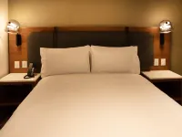 Hilton Garden Inn Mexico City Polanco Hotels near Torre Mayor