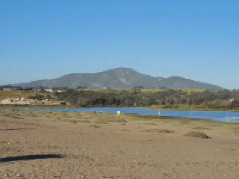 Bocamar Aparthotel Hotels in Concon