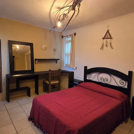 Casa del Árbol Hostel Xochimilco