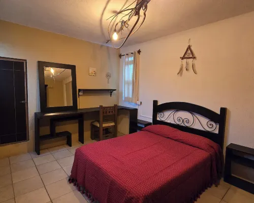Casa del Árbol Hostel Xochimilco Hotels in Oaxaca