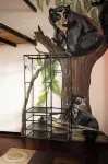 Casa Samor