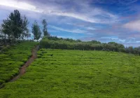 Magnolia by Nature Resorts & Stays