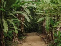 Santa Lucia Jungle Hacienda, Costa Rica, Autograph Collection Hotels in Tarcoles