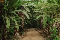 Santa Lucia Jungle Hacienda, Costa Rica, Autograph Collection