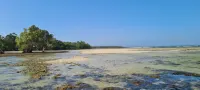 Wagawimbi Villa 560 m2, Breathtaking View of the Indian Ocean, Kenya - Villas