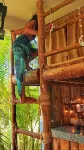 Eco Lodges Chalets Tropicales Playa Macao - bar