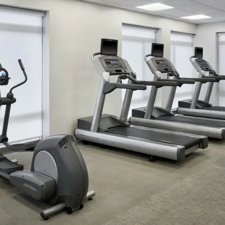 SpringHill Suites Detroit Metro Airport Romulus