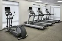 SpringHill Suites Detroit Metro Airport Romulus - Gym
