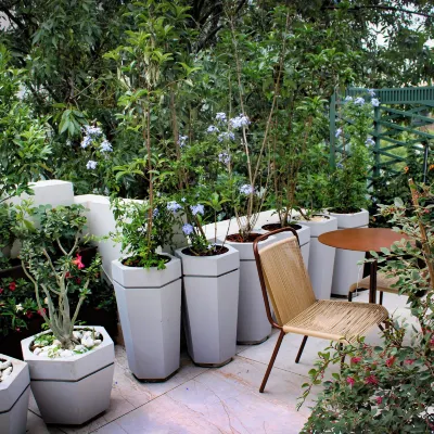 Hippodrome Hotel Condesa Hotels near Mexico Park