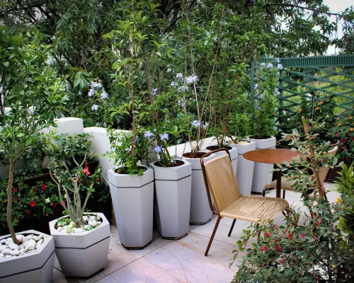Hippodrome Hotel Condesa Hotels near Mexico Park