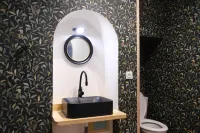 Les Oiseaux de Passage - Barer