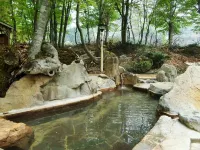 Hakuba Tsugaike Ski Slope Side Espoir Misawa - Hot Springs