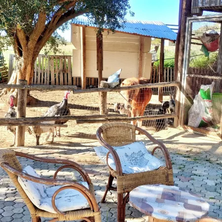 Farmhouse with Swimming Pool in Capo Vaticano
