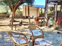 Farmhouse with Swimming Pool in Capo Vaticano - Sea View