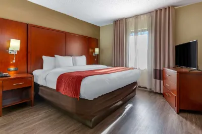 Comfort Inn Fort Mill Amusement Park at Carowinds Blvd Hotels near Carowinds