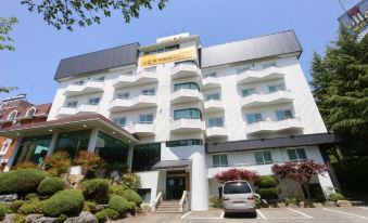 Hotel Valentine Gyeongju