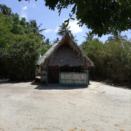 Mida Creek Eco Camp - Eco Lodge
