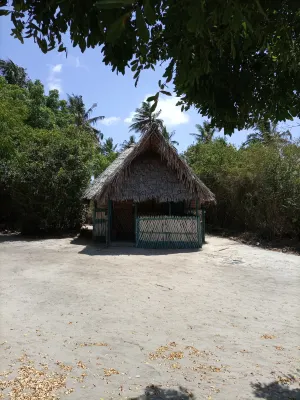 Mida Creek Eco Camp - Eco Lodge - balcón