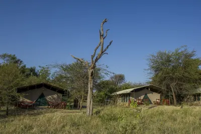 Mbuzi Mawe Serena Camp Hotels near Serengeti National Park