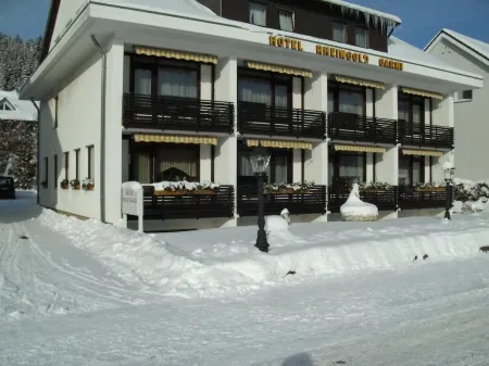 Hotel Rheingold Garni
