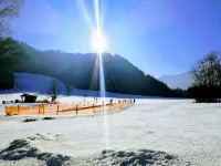 Chalet Bodental 28