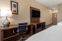 Comfort Inn & Suites Macon - Parkering