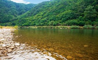 Danyang Pine Caravan Camping