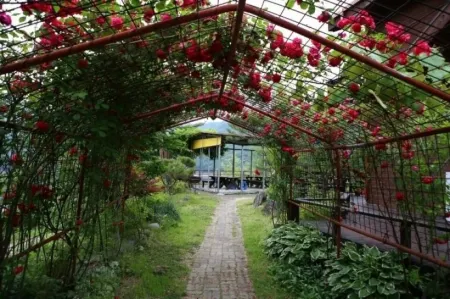 Yeongju Sansubang Pension Отели в г. Йонджу