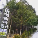 Jangseong Cypress Forest Pension