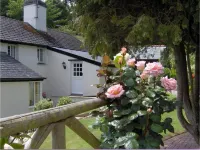 Frogwell Hôtels à : Stoke Fleming