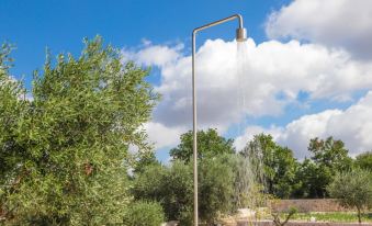 TD Trullo Roverella Charming Trullo with Pool