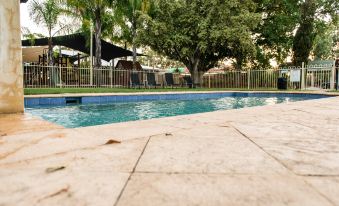 a beautiful swimming pool surrounded by lush greenery , including trees and grass , in a sunny outdoor setting at Wattle Grove Motel