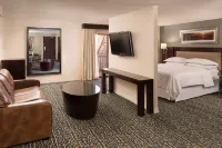 Sheraton Salt Lake City Hotels near Raunch Records & Skate