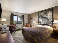 Super 8 by Wyndham Fremont NE Hotels in Dodge County