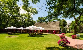 a grassy yard with several picnic tables and umbrellas , creating a pleasant outdoor setting for relaxation at Hotel Boss