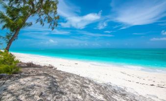 Beachfront White Palm Villa - Tar Bay