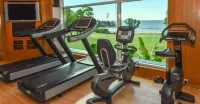 The Empire Brunei - Gym